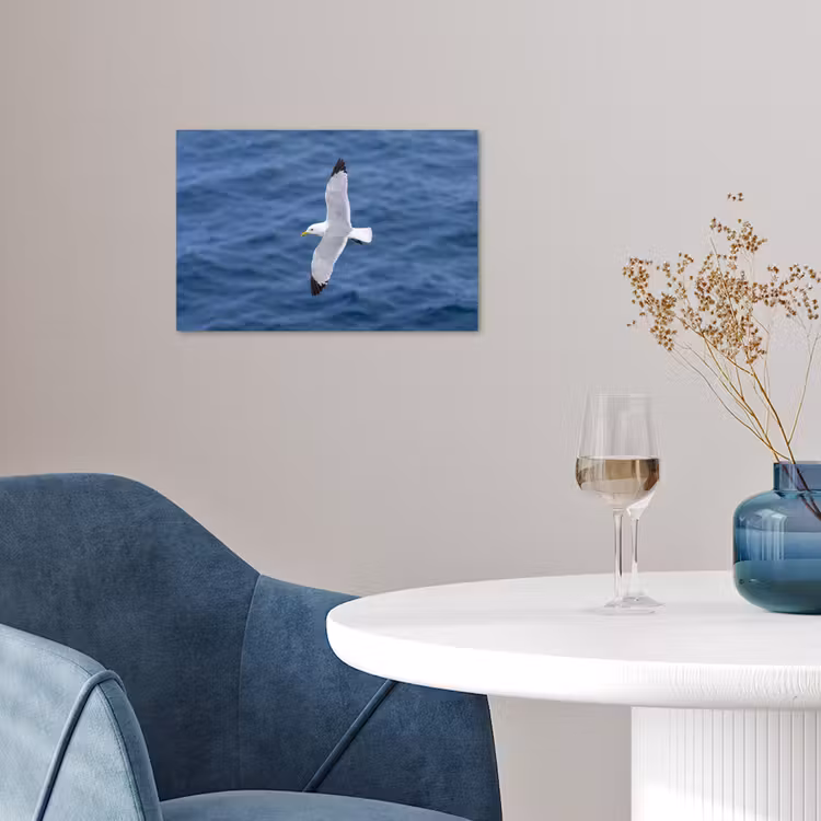 Zeemeeuw - Oceaan - Blauw poster papier klein -sfeer3