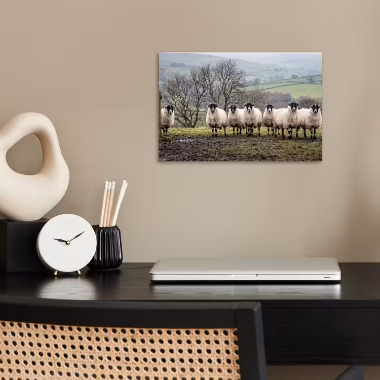 Schapen - Rij - Weide - Dieren - Platteland poster papier klein -sfeer1