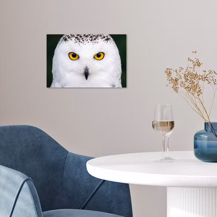 Sneeuwuil - Portret - Geel poster papier klein -sfeer3