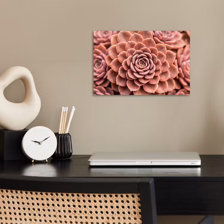 Vetplant - Organisch - Roze poster papier klein -sfeer1