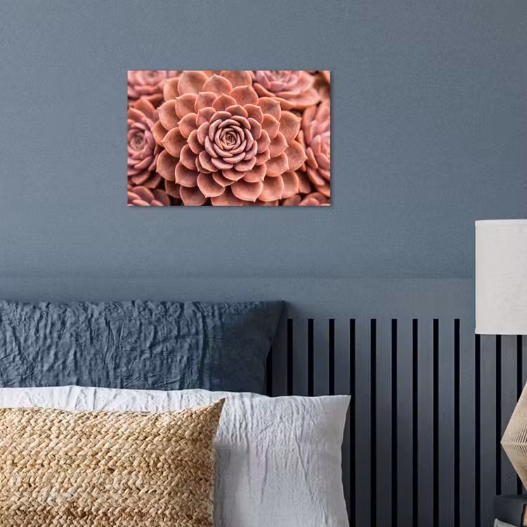 Vetplant - Organisch - Roze poster papier klein -sfeer2
