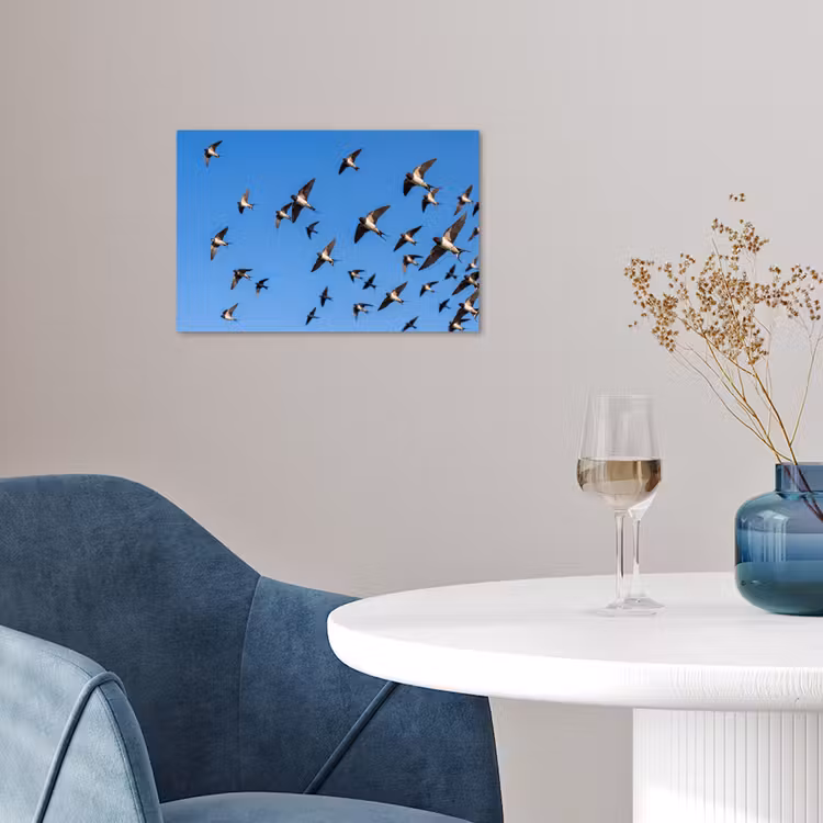 Zwaluwen - Vliegen - Blauw poster papier klein -sfeer3