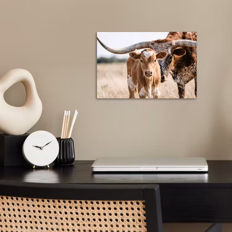 Texas Longhorn - Kalf - Weide - Dieren poster papier klein -sfeer1