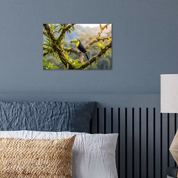 Toekan - Jungle - Natuur - Kleurrijk poster papier klein -sfeer2