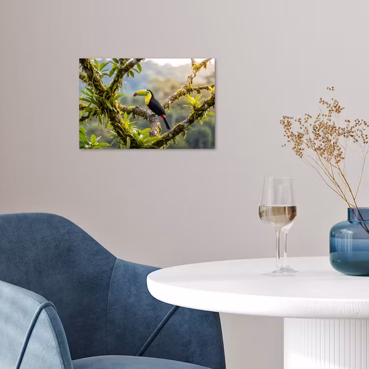Toekan - Jungle - Natuur - Kleurrijk poster papier klein -sfeer3