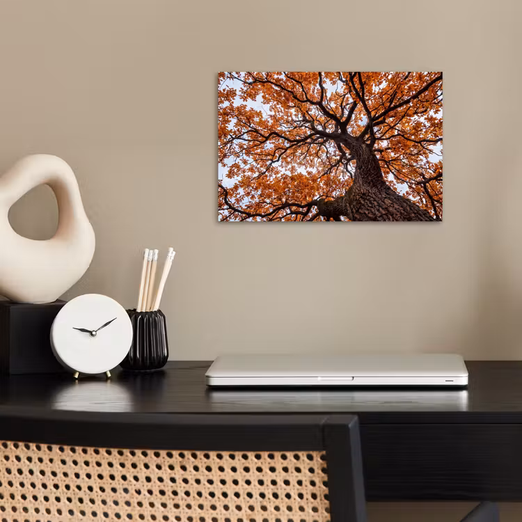 Boom - Bladerdak - Herfst - Oranje - Sfeervol poster papier klein -sfeer1