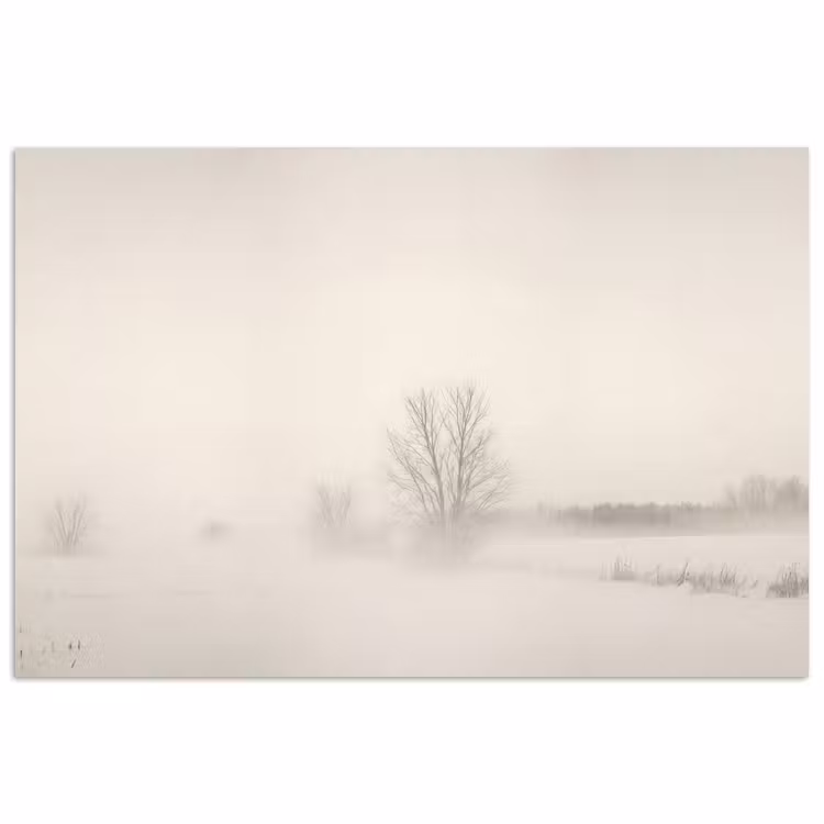 Boom - Mist - Sneeuw - Winter - Minimalistisch poster papier klein -3d
