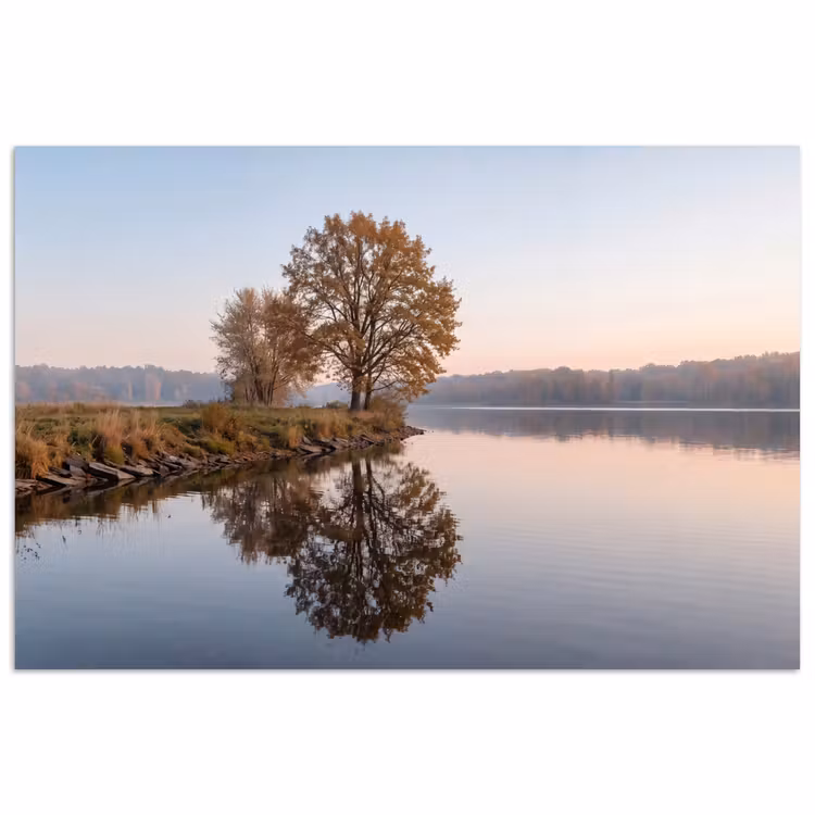 Bomen - Reflectie - Water - Zonsopgang - Serene poster papier klein -3d