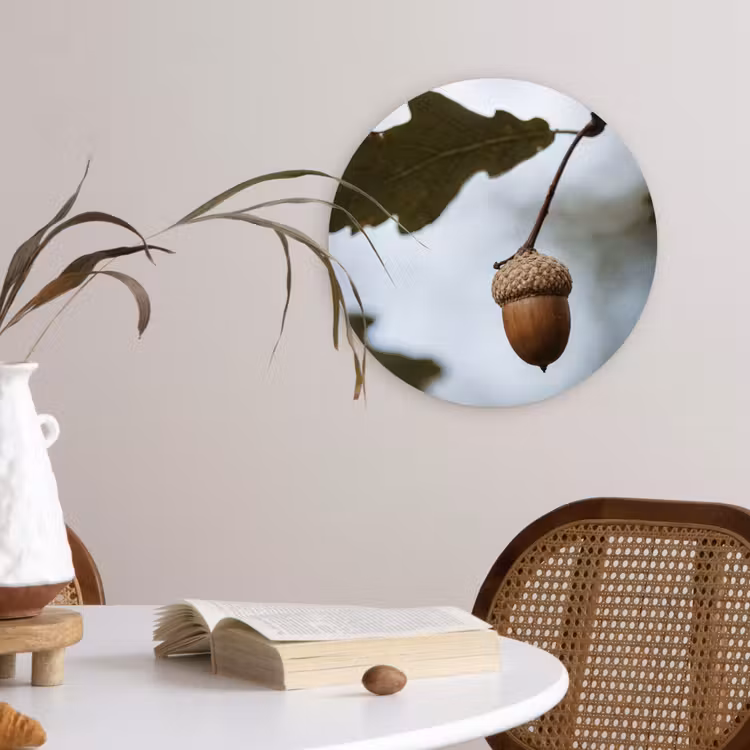Eikel - Eikenblad - Bos - Herfst - Natuur Wandcirkel kunststof plaat 5mm dik klein -sfeer4