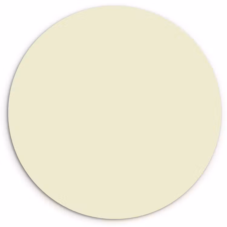 Arctic - Daisy - Nude Wandcirkel kunststof plaat 5mm dik klein 188 -3d