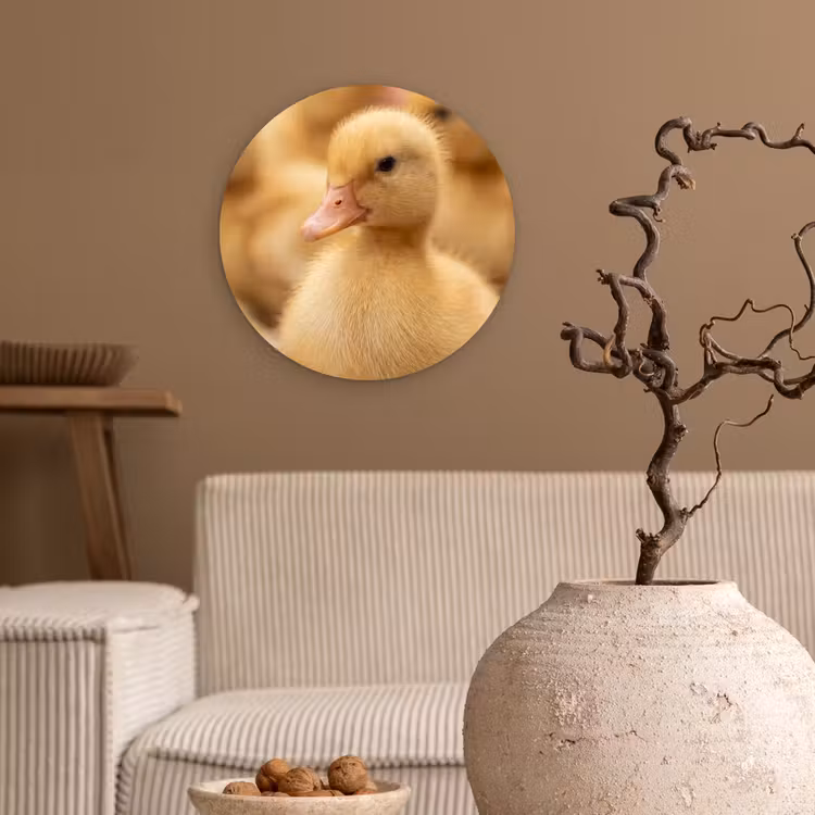 Pijltje - Eend - Natuur - Geel Wandcirkel kunststof plaat 5mm dik klein -sfeer1
