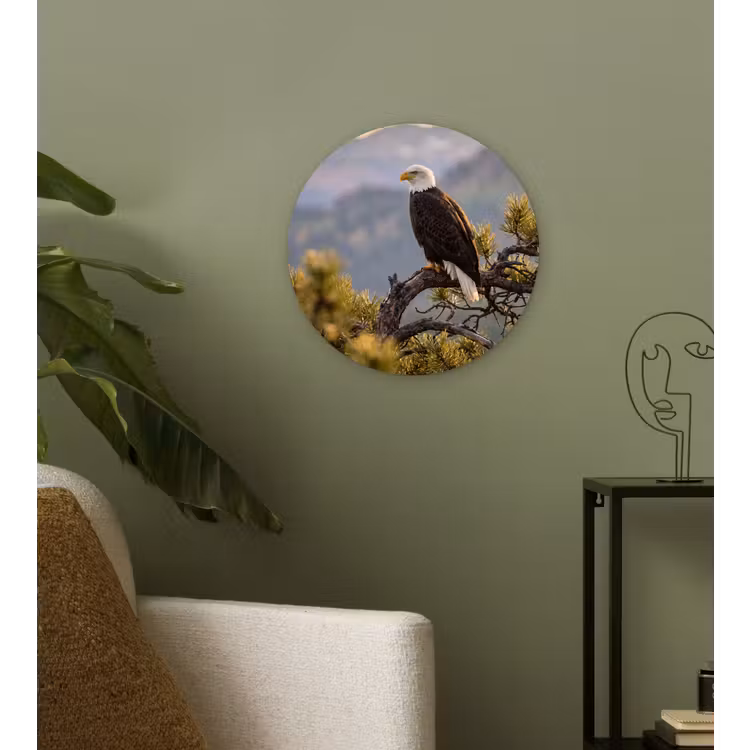 Zeearend - Boom - Bergen - Groen Wandcirkel kunststof plaat 5mm dik klein -sfeer3