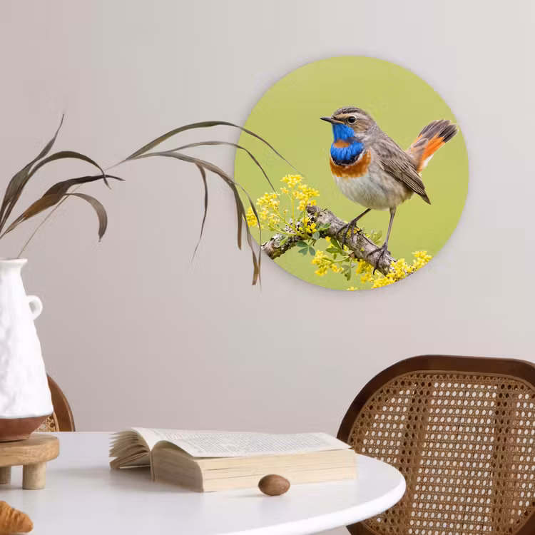 Vogel - Tak - Natuur - Kleurrijk Wandcirkel kunststof plaat 5mm dik klein -sfeer4