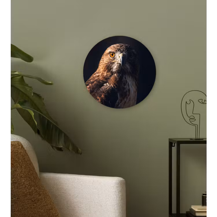 Roofvogel - Buizerd - Bruin Wandcirkel kunststof plaat 5mm dik klein -sfeer3