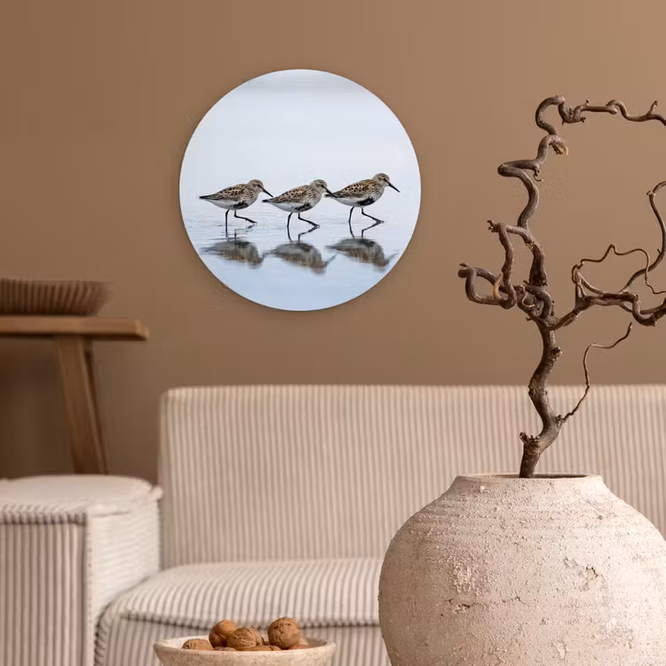 Vogels - Water - Grijs Wandcirkel kunststof plaat 5mm dik klein -sfeer1