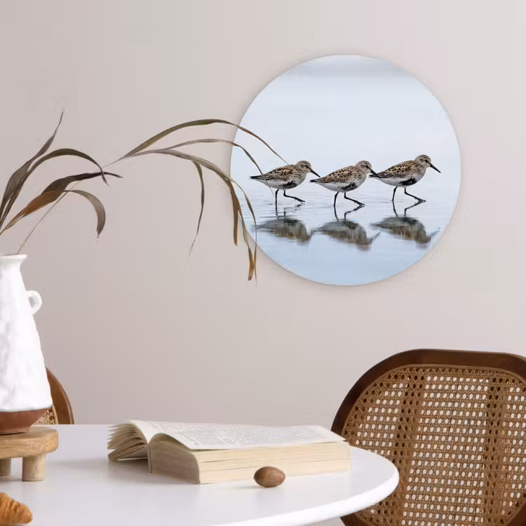 Vogels - Water - Grijs Wandcirkel kunststof plaat 5mm dik klein -sfeer4