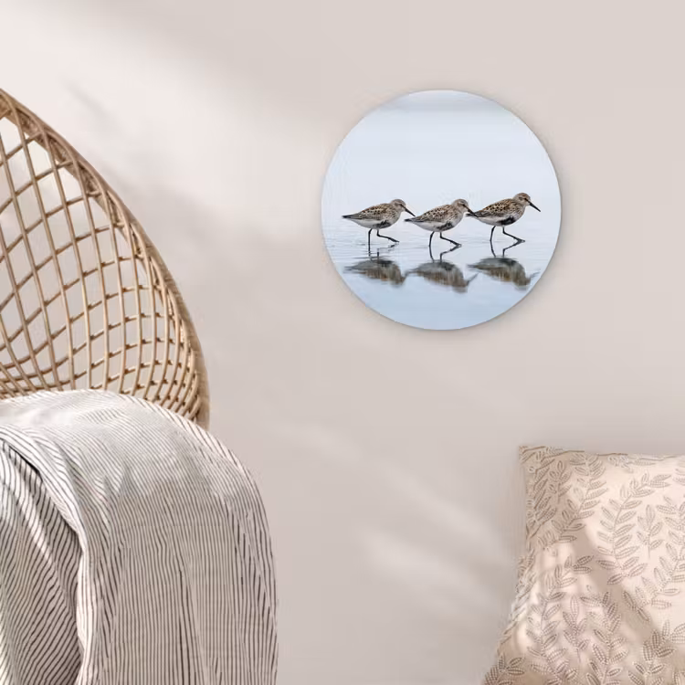 Vogels - Water - Grijs Wandcirkel kunststof plaat 5mm dik klein -sfeer5