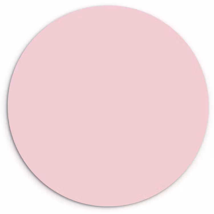 Blush - Pink - Roze Wandcirkel kunststof plaat 5mm dik klein 188 -3d