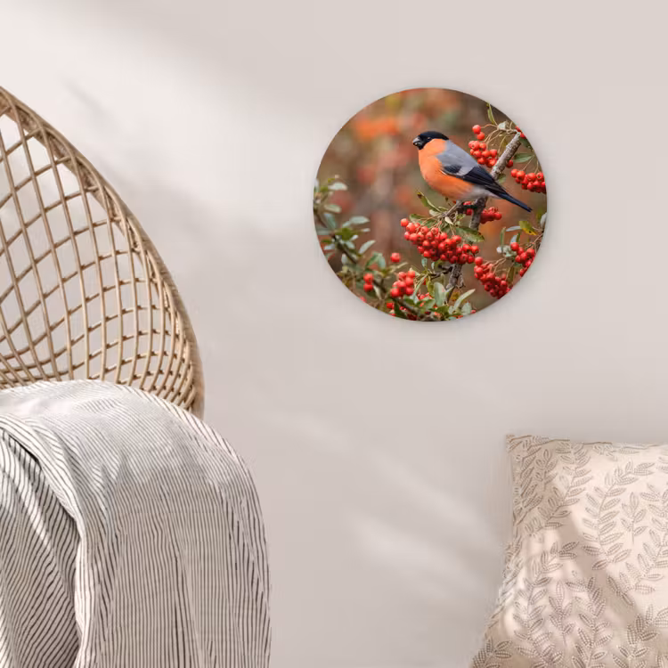 Goudvink - Bessen - Herfst - Natuur - Kleurrijk Wandcirkel kunststof plaat 5mm dik klein -sfeer5