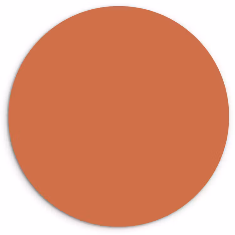 Classic - Terracotta - Oranje Wandcirkel kunststof plaat 5mm dik klein 188 -3d