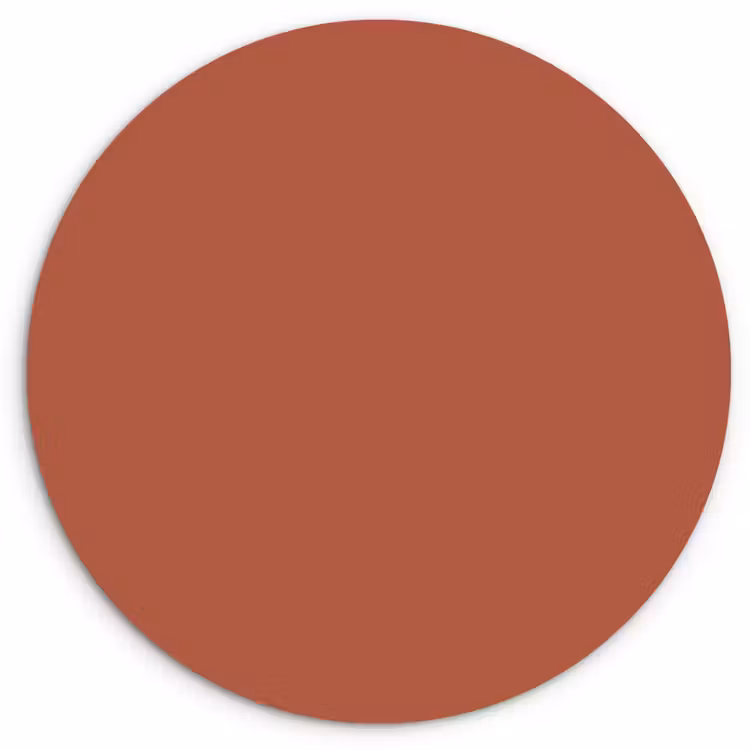 Copperhead - Oranje - Bruin Wandcirkel kunststof plaat 5mm dik klein 188 -3d
