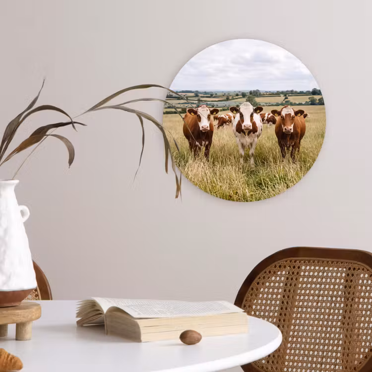 Koeien - Portret - Weide - Boerderij - Nieuwsgierig Wandcirkel kunststof plaat 5mm dik klein -sfeer4