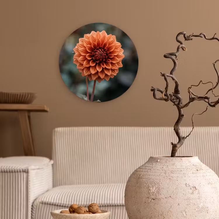 Dahlia - Bloem - Natuur - Sfeervol Wandcirkel kunststof plaat 5mm dik klein -sfeer1