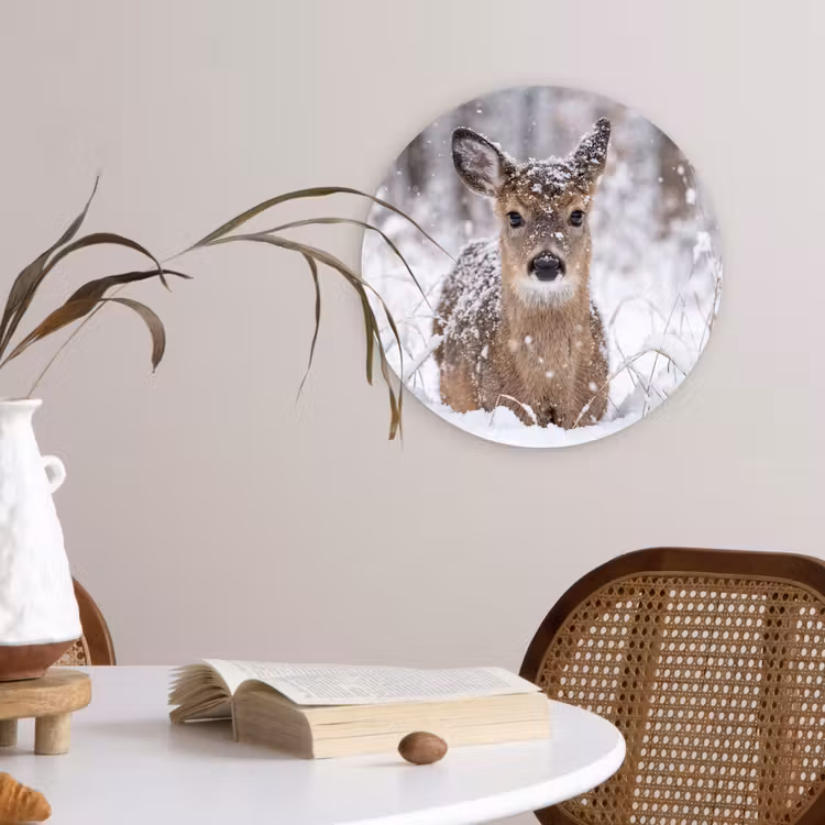 Hert - Sneeuw - Bos - Dieren - Vertederend Wandcirkel kunststof plaat 5mm dik klein -sfeer4