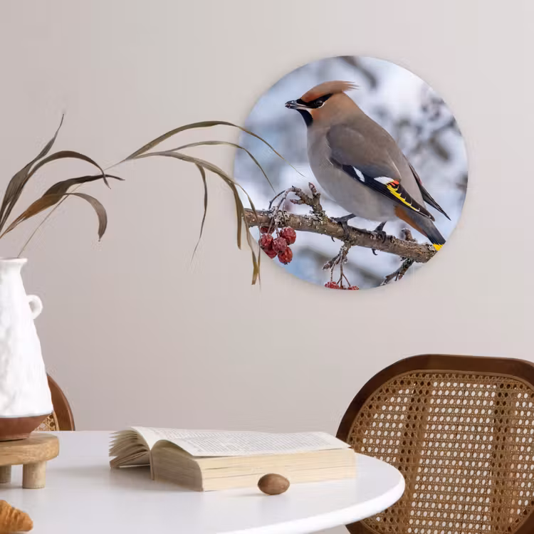 Pestvogel - Bessen - Winter - Natuur Wandcirkel kunststof plaat 5mm dik klein -sfeer4