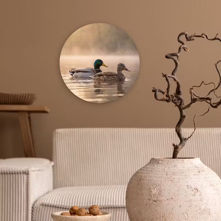 Eenden - Water - Mist - Natuur Wandcirkel kunststof plaat 5mm dik klein -sfeer1