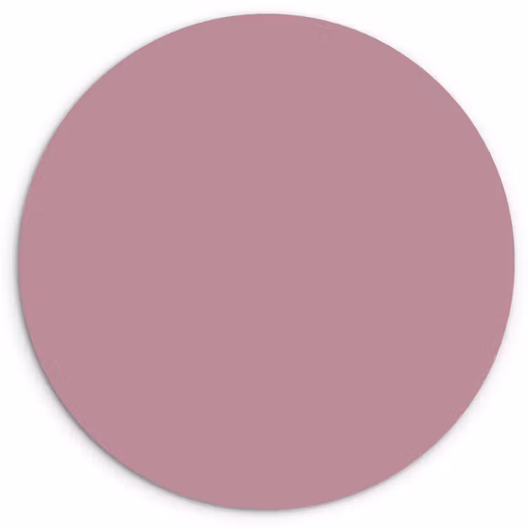 Dusty - Mauve - Paars Wandcirkel kunststof plaat 5mm dik klein 188 -3d