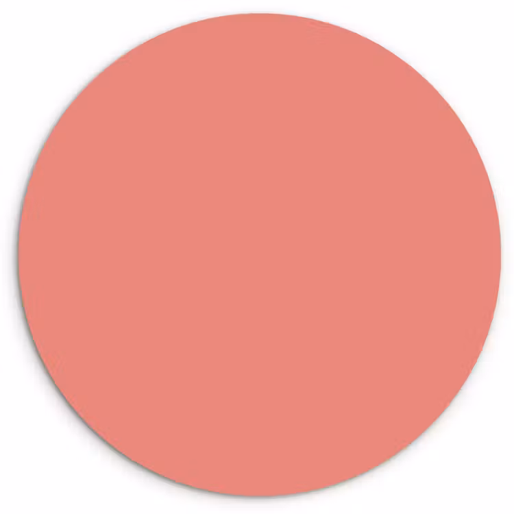 Dusty - Peach - Koraal Wandcirkel kunststof plaat 5mm dik klein 188 -3d