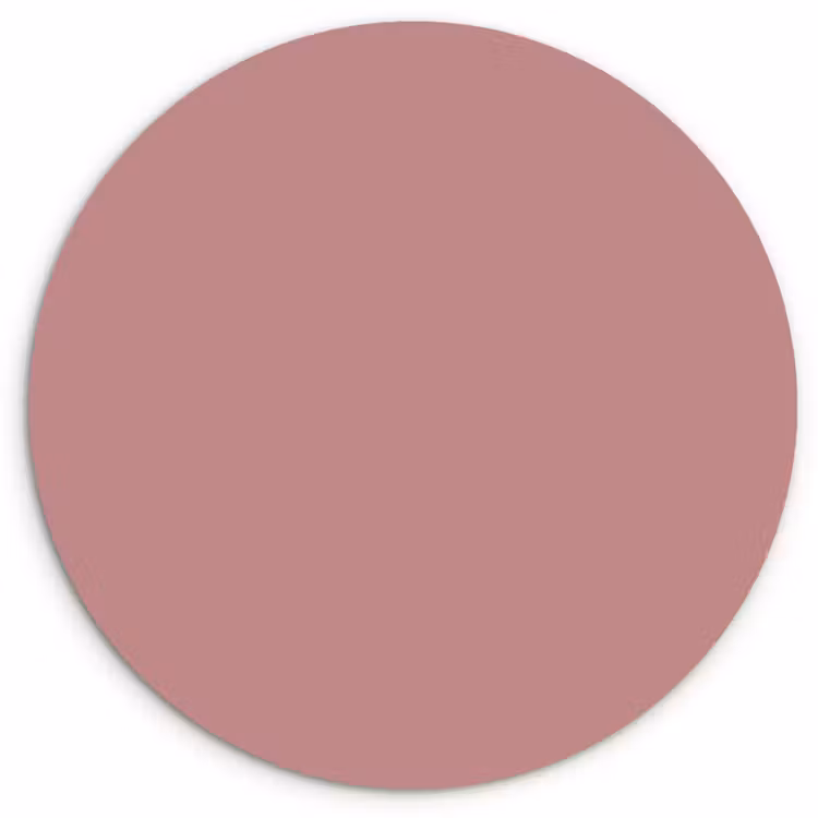 Dusty - Rose - Roze Wandcirkel kunststof plaat 5mm dik klein 188 -3d