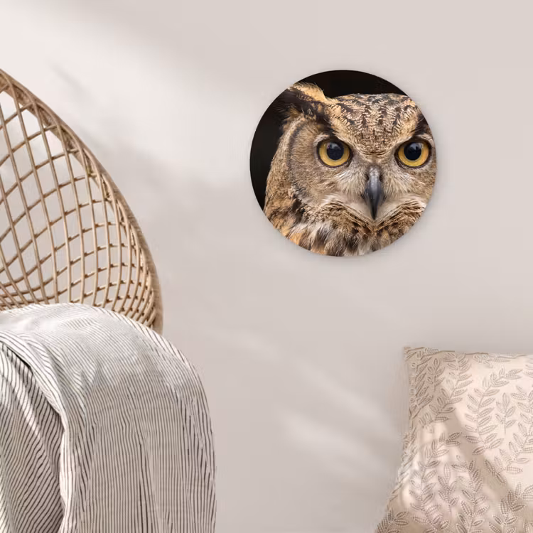 Oehoe - Uil - Portret - Bruin Wandcirkel kunststof plaat 5mm dik klein -sfeer5