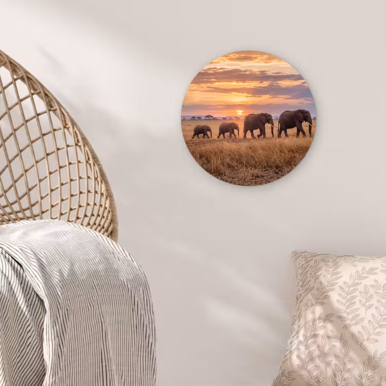 Olifanten - Savanne - Zonsondergang - Afrika - Warm Wandcirkel kunststof plaat 5mm dik klein -sfeer5