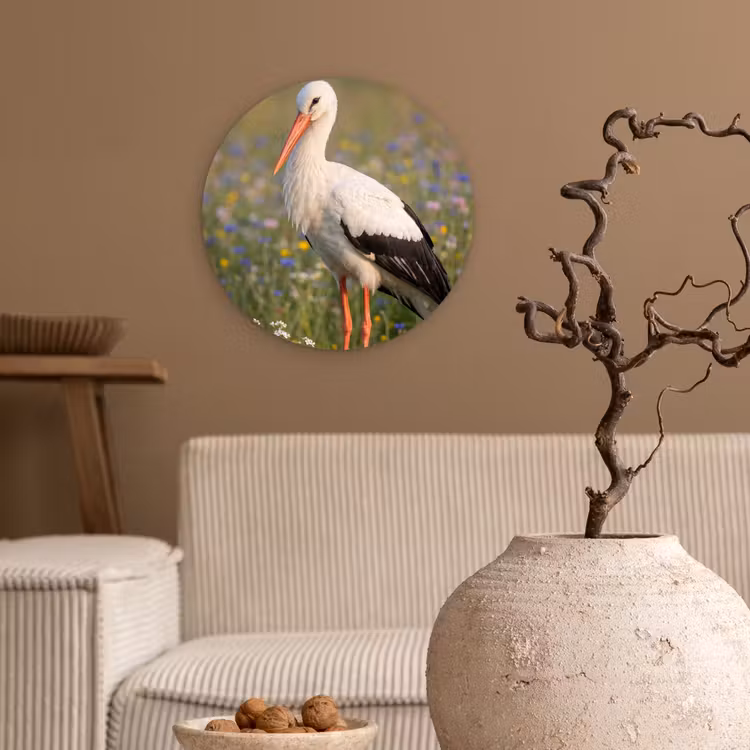 Ooienvaar - Bloemen - Weide - Kleurrijk Wandcirkel kunststof plaat 5mm dik klein -sfeer1