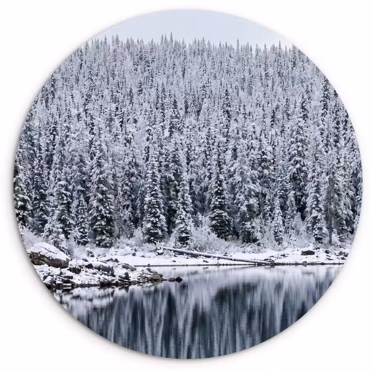 Bos - Reflectie - Meer - Winter - Serene Wandcirkel kunststof plaat 5mm dik klein -3d