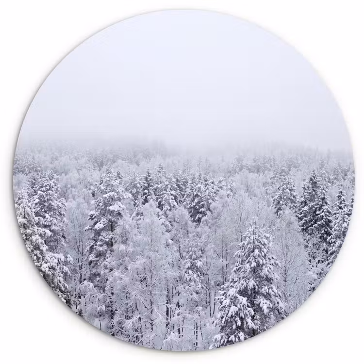 Bos - Sneeuw - Winter - Natuur - Wit Wandcirkel kunststof plaat 5mm dik klein -3d