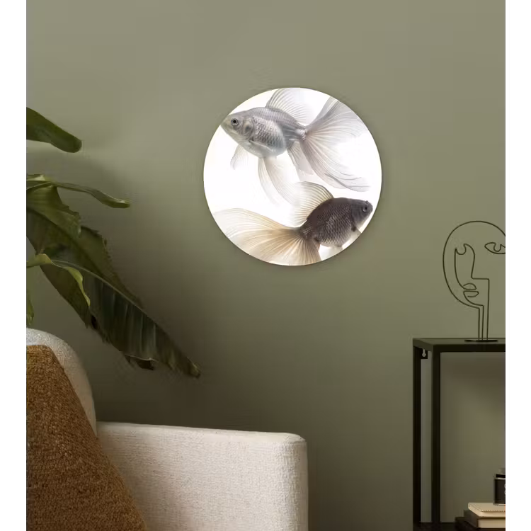 Goudvissen - Modern - Wit Wandcirkel kunststof plaat 5mm dik klein -sfeer3
