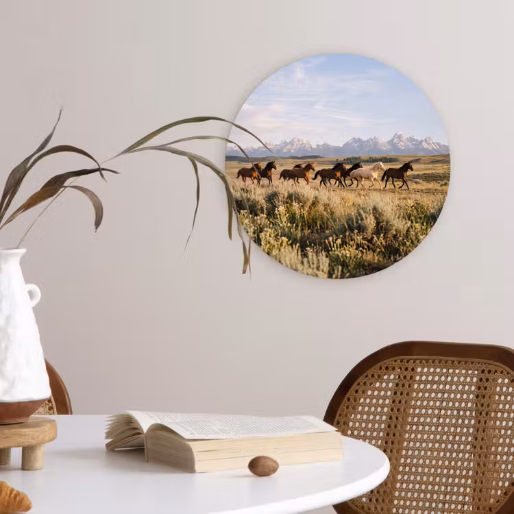 Paarden - Kudde - Bergen - Vrijheid - Wild Wandcirkel kunststof plaat 5mm dik klein -sfeer4