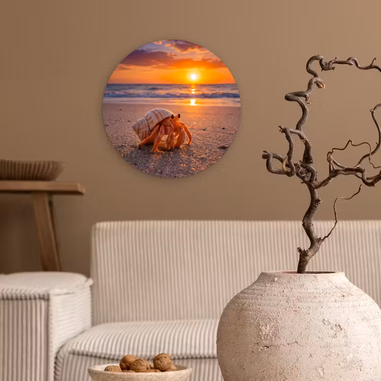 Kreeft - Strand - Natuur - Zonsondergang - Oranje Wandcirkel kunststof plaat 5mm dik klein -sfeer1