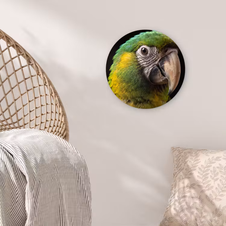 Ara - Portret - Groen Wandcirkel kunststof plaat 5mm dik klein -sfeer5