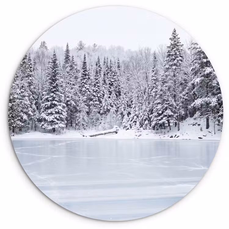 Meer - Dennen - IJs - Winter - Rustgevend Wandcirkel kunststof plaat 5mm dik klein -3d