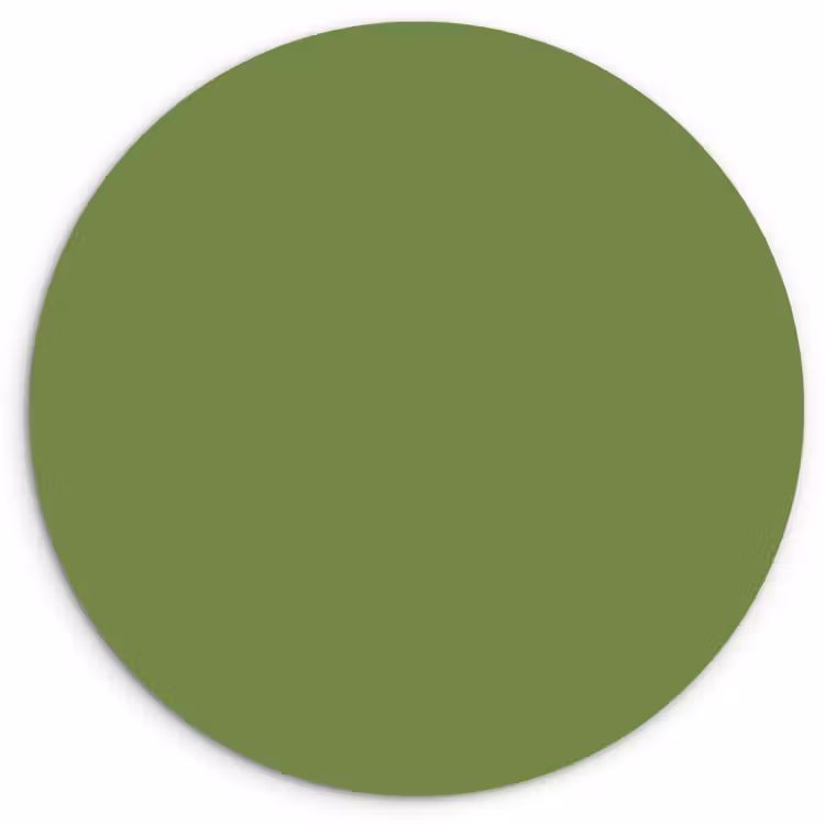 Moss - Green - Groen Wandcirkel kunststof plaat 5mm dik klein 188 -3d