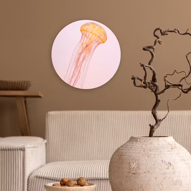 Sierlijk - Kwal - Roze Wandcirkel kunststof plaat 5mm dik klein -sfeer1