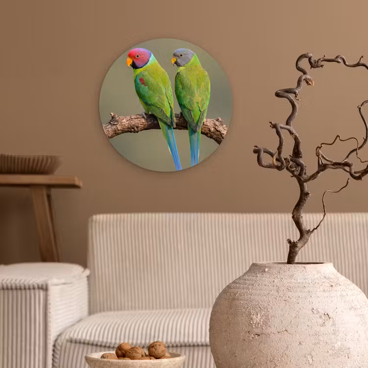 Papagaai - Tak - Natuur - Kleurrijk Wandcirkel kunststof plaat 5mm dik klein -sfeer1