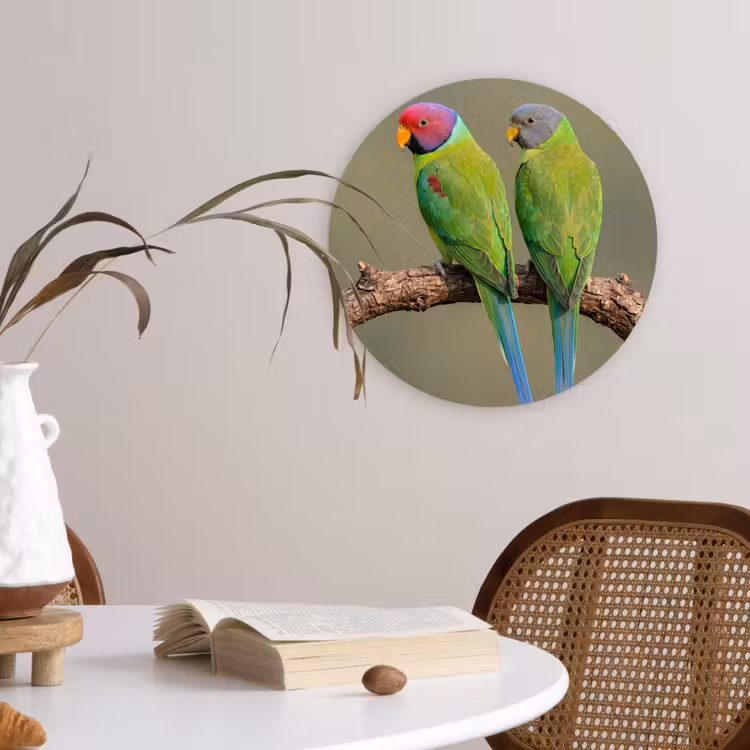 Papagaai - Tak - Natuur - Kleurrijk Wandcirkel kunststof plaat 5mm dik klein -sfeer4