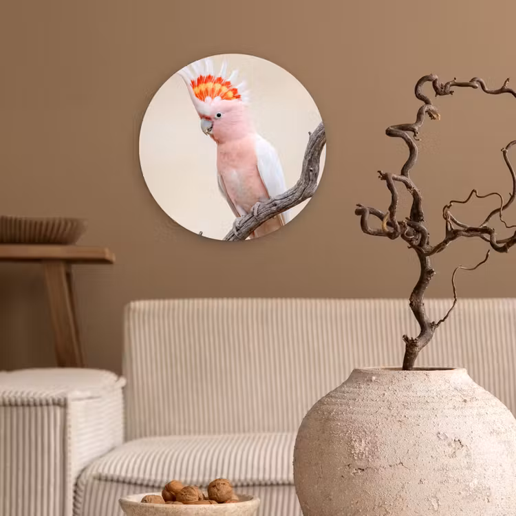 Papagaai - Tak - Roze Wandcirkel kunststof plaat 5mm dik klein -sfeer1