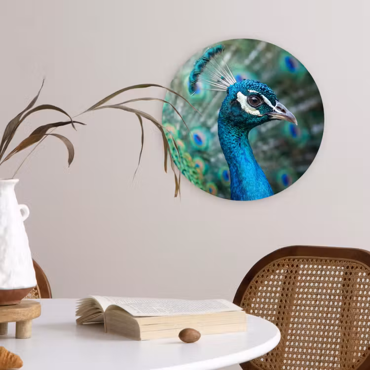 Pauw - Veren - Blauw Wandcirkel kunststof plaat 5mm dik klein -sfeer4