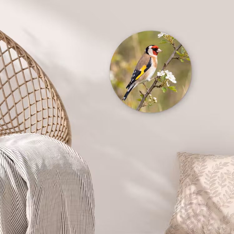 Putter - Bloesem - Lente - Natuur - Kleurrijk Wandcirkel kunststof plaat 5mm dik klein -sfeer5